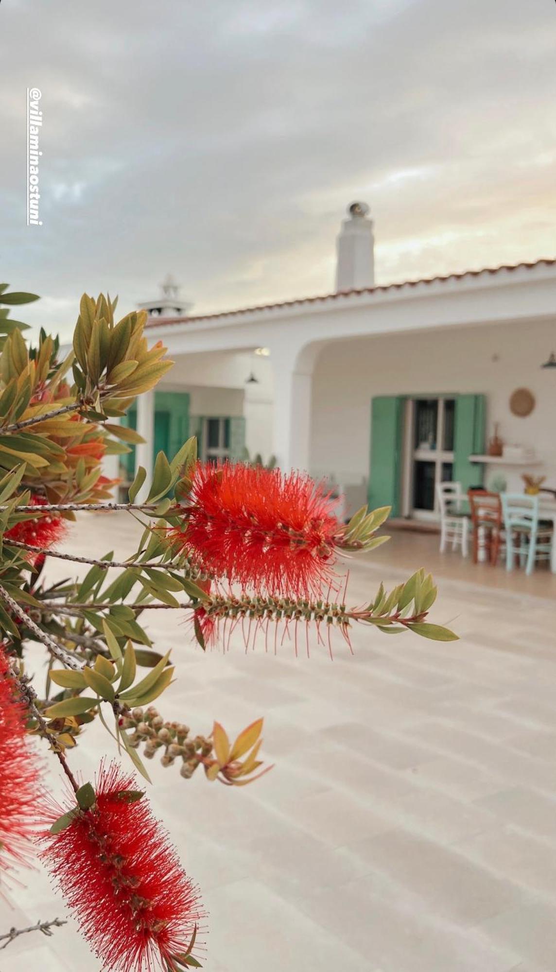 Villa Mina Ostuni Exterior foto